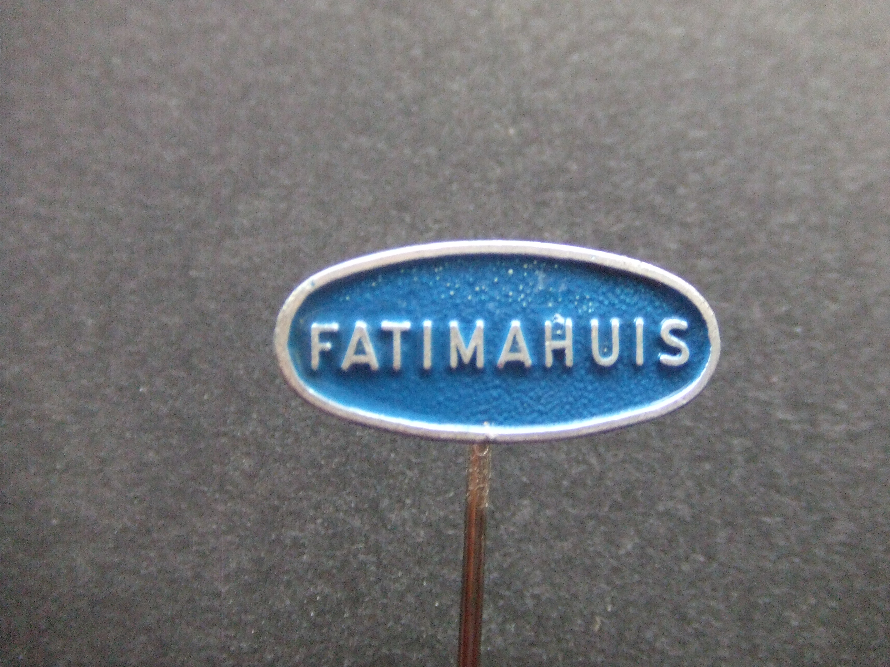 Stichting Het Fatimahuis ,Roosendaal,jeugdzorg,blauw